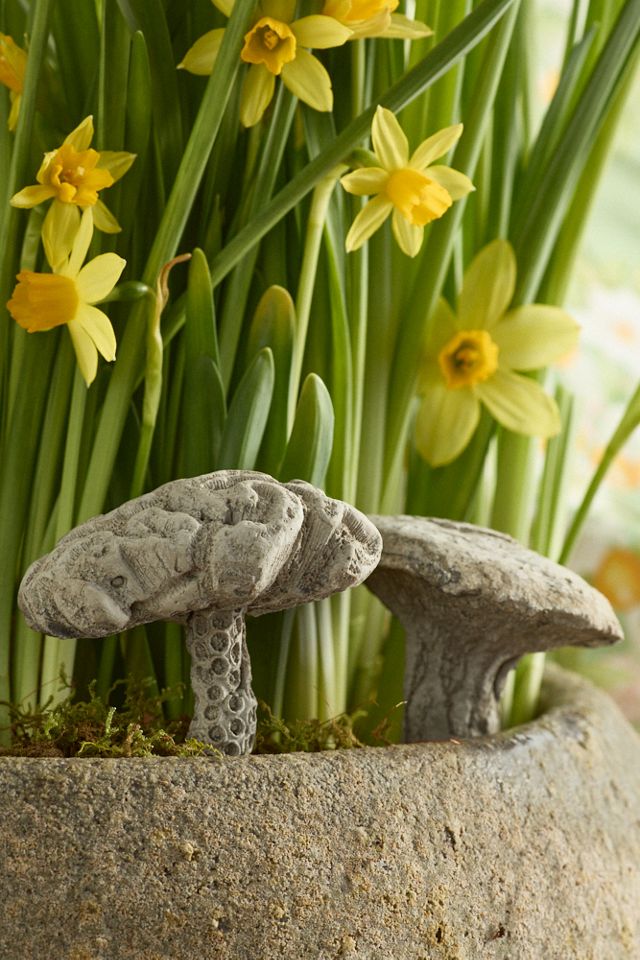 Hermes Mushroom Concrete Pick #1