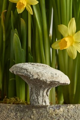Hermes Mushroom Concrete Pick