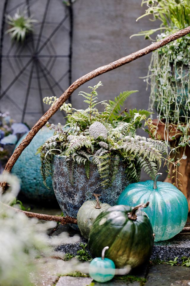 Brain Coral Mushroom Concrete Pick #2