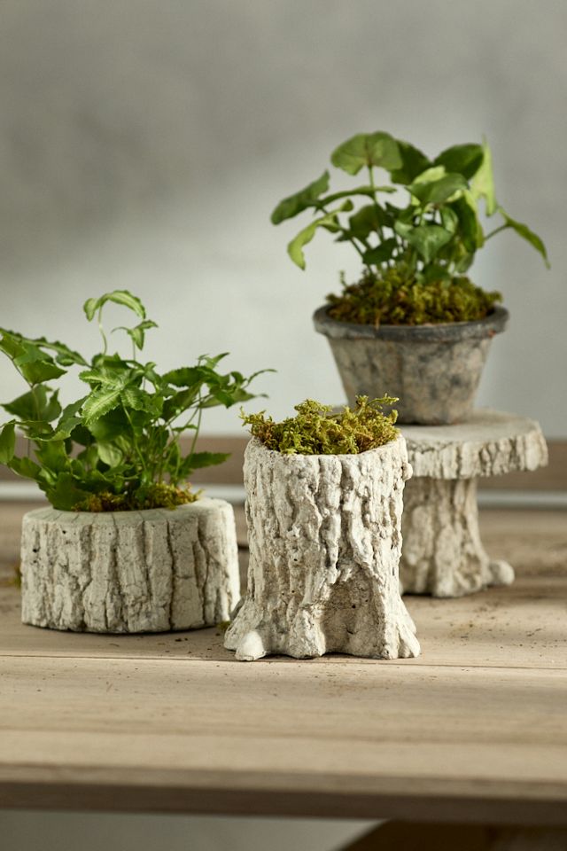 Faux Bois Stand #4