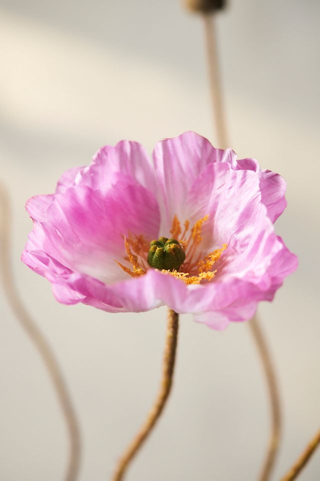 Faux Poppy Spray, 22" #1
