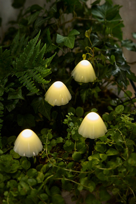 Stargazer Nature Effects Solar Mushroom Lights