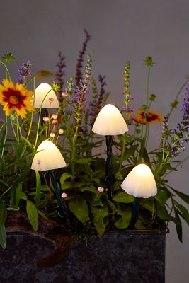 Terrain Stargazer Nature Effects Solar Mushroom Lights In Multi