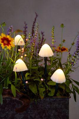 Stargazer Nature Effects Solar Mushroom Lights