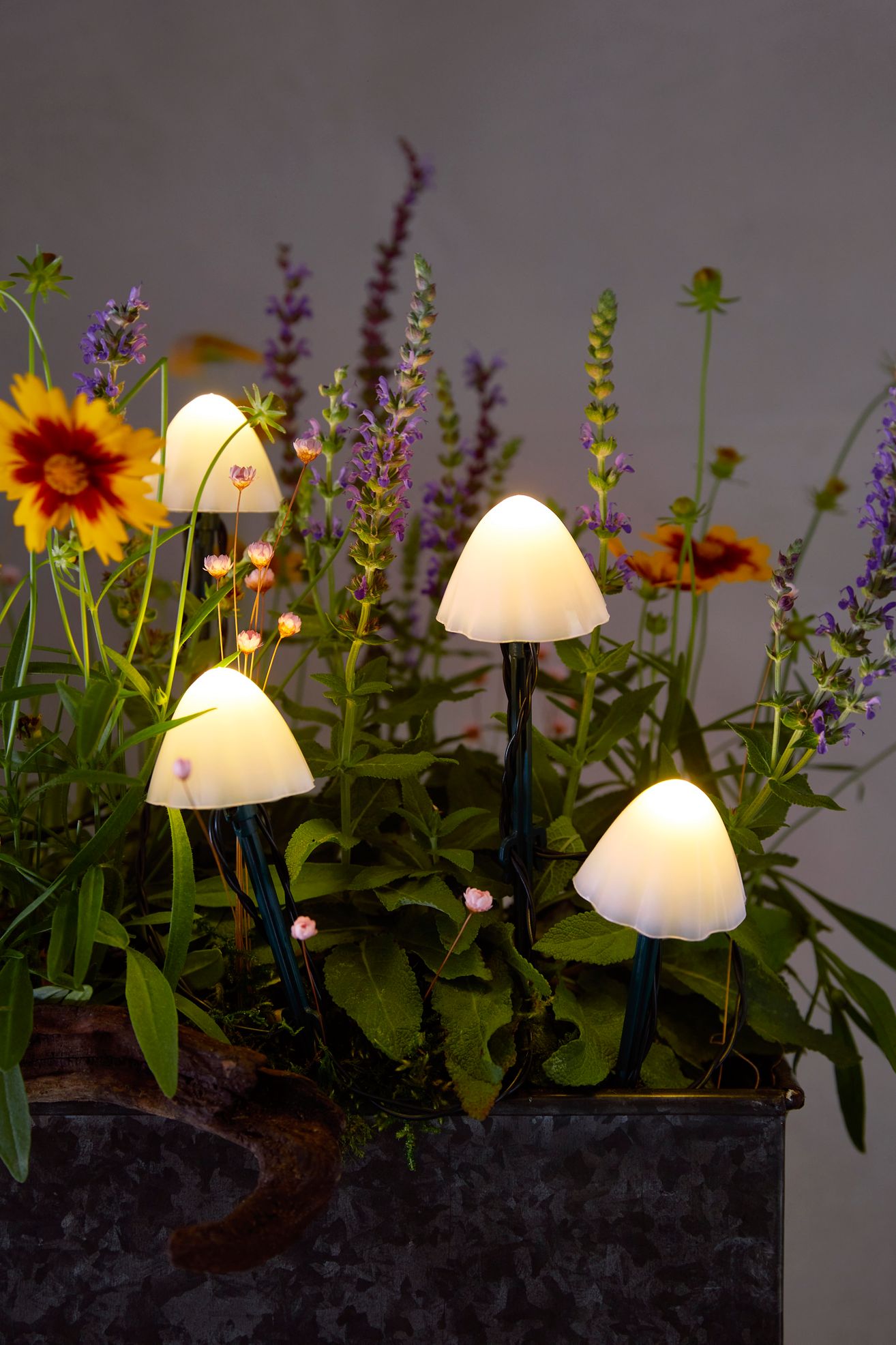 Stargazer Nature Effects Solar Mushroom Lights - Multi, One Size