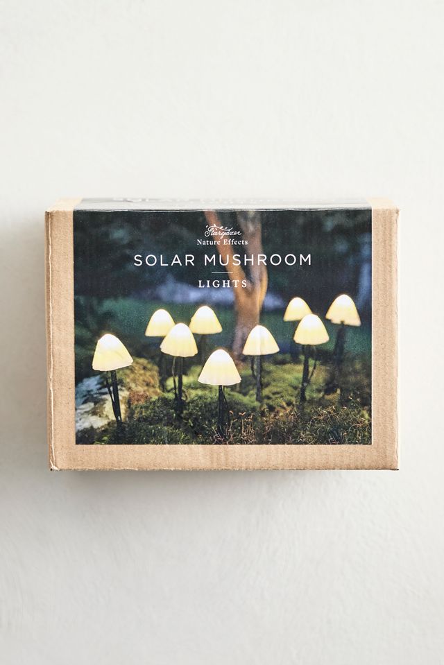 Stargazer Nature Effects Solar Mushroom Lights #3
