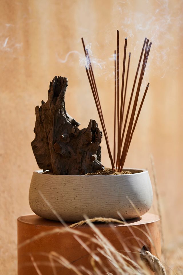 Eucalyptus Tree Root, 8-12" #3