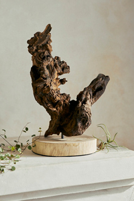 Terrain Driftwood With Base In Brown