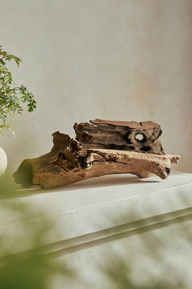 Driftwood, Horizontal #1