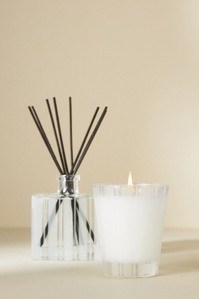 NEST New York Coconut & Palm Classic Candle #1