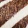 Chocolate/Ivory