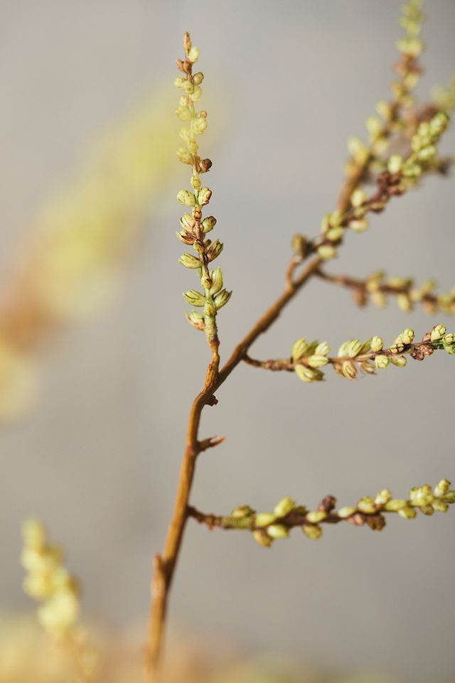 Faux Willow Branch #1