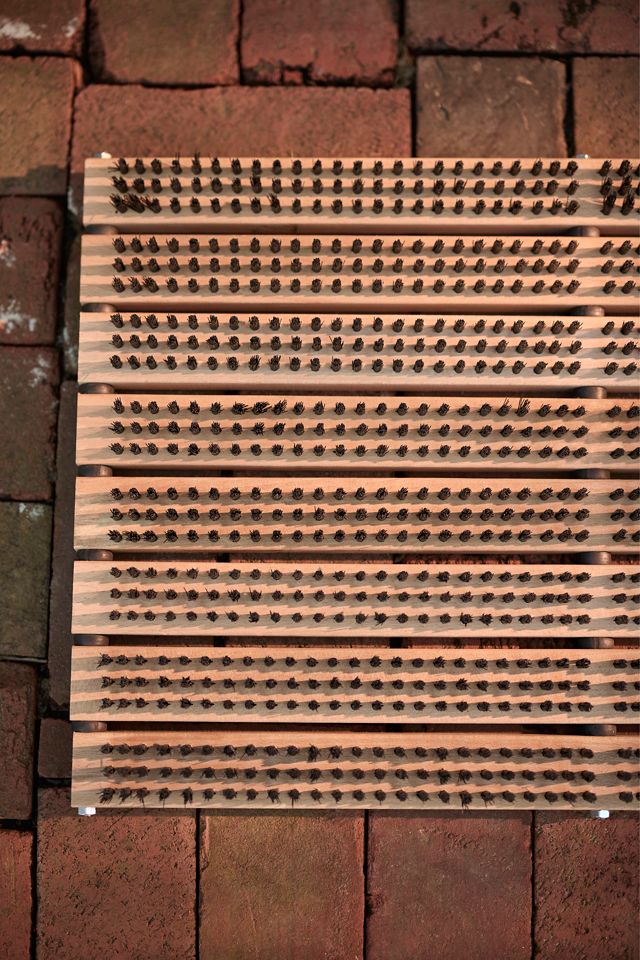 Bristle Doormat #1