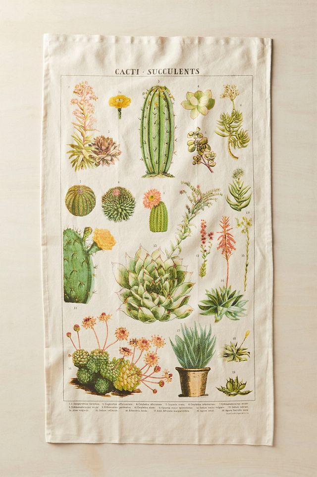 Cacti + Succulents Cotton Dish Towel #1