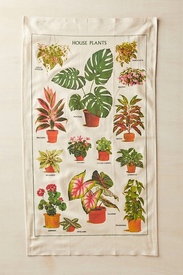 Houseplants Cotton Dish Towel #1