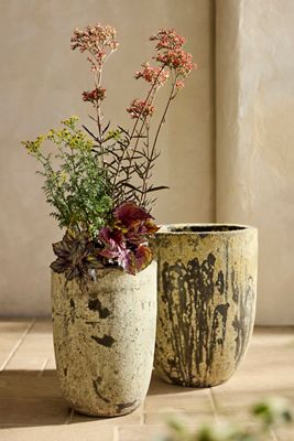 Barnacle Tapered Base Planter