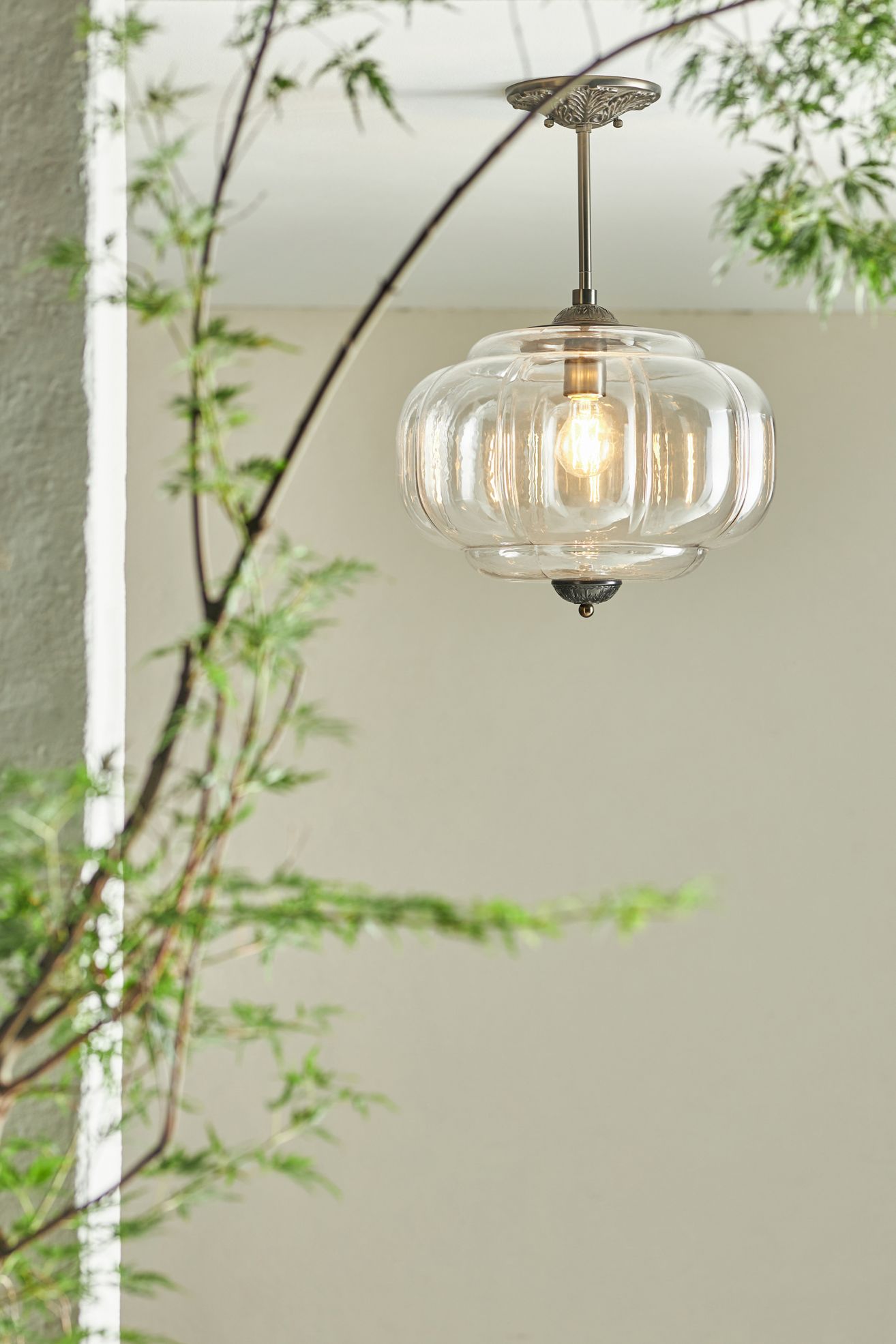 The Eloise Scallop Glass Indoor/Outdoor Semi-Flush Mount Pendant Light - Clear Glass / Black, Standard, One Size