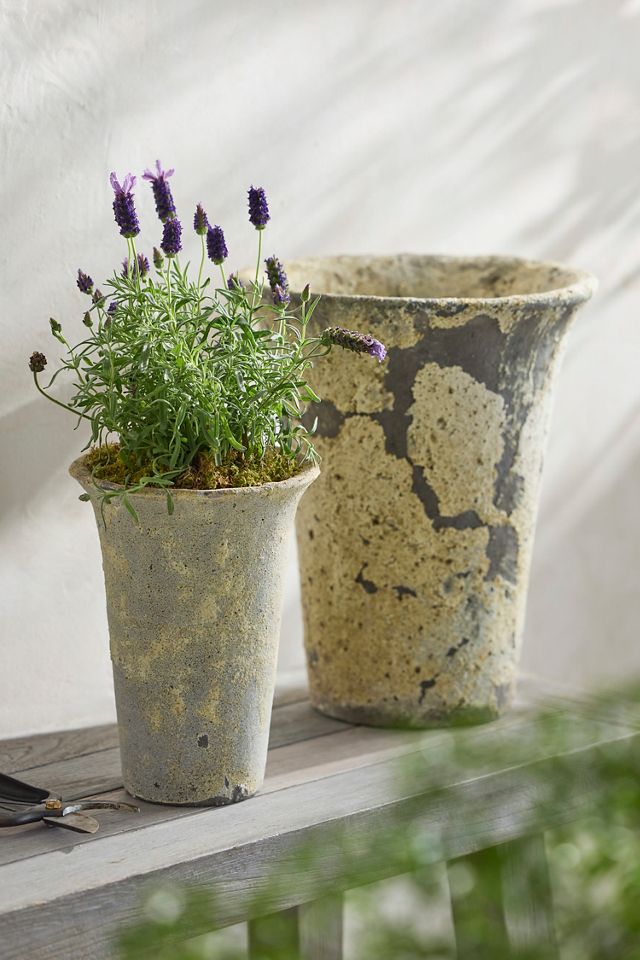 Barnacle Cone Planter, 8" #3
