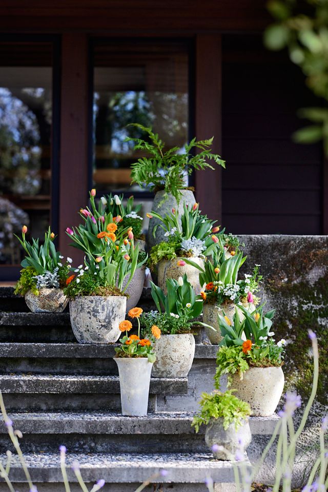 Barnacle Cone Planter, 11” #1
