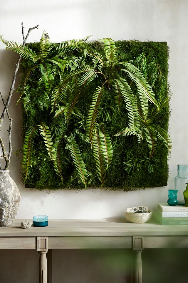 Faux Moss Wall with Ferns  Faux moss, Moss wall, Living wall art