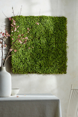Terrain Faux Moss Wall Hanging