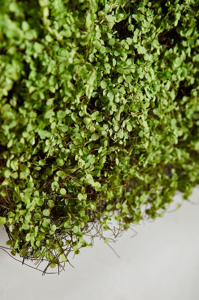 Faux Moss Wall Hanging #1