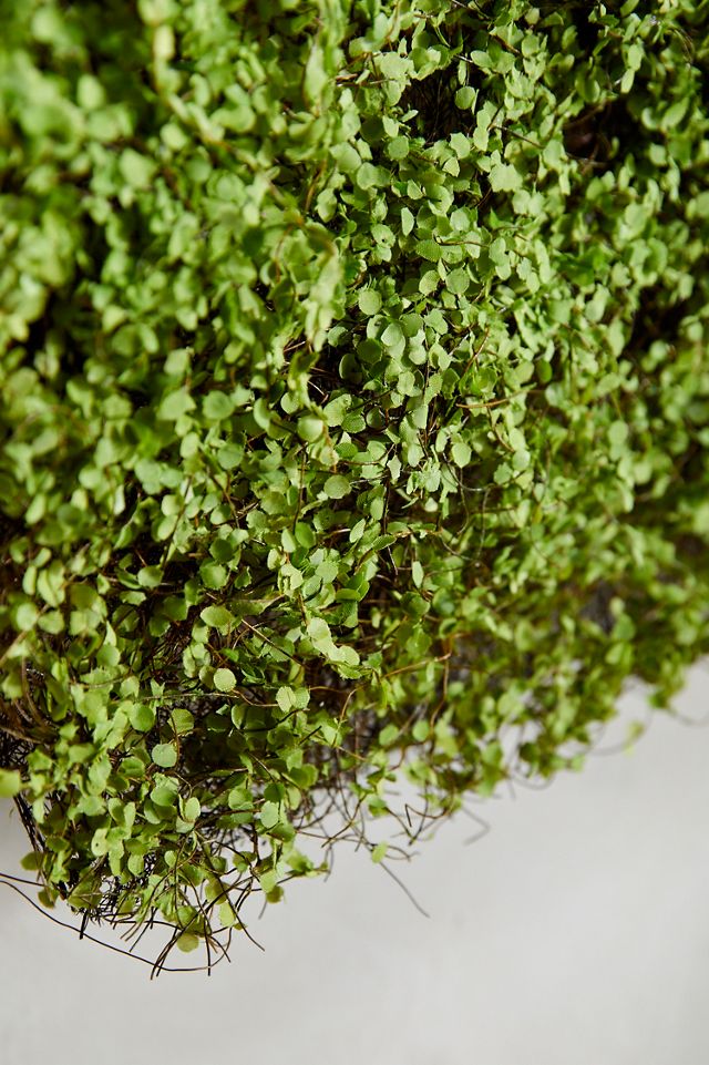 Faux Moss Wall Hanging