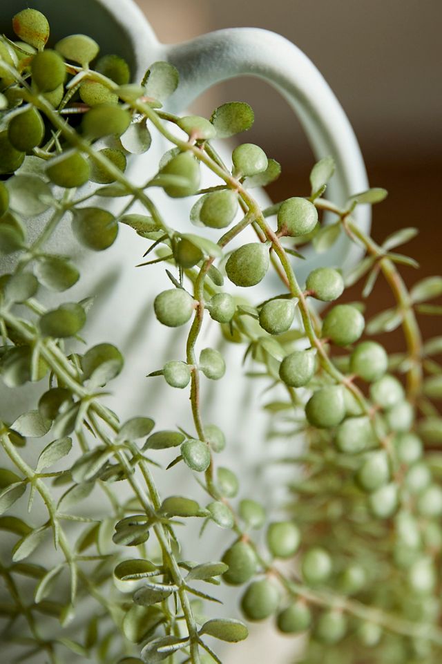 Faux Trailing Fern #1
