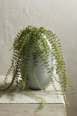 Faux Trailing Fern
