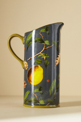 Nature Studies Pitcher | AnthroLiving