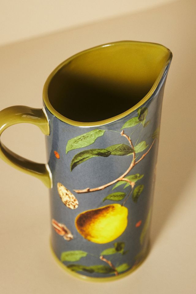 Nature Studies Pitcher #1