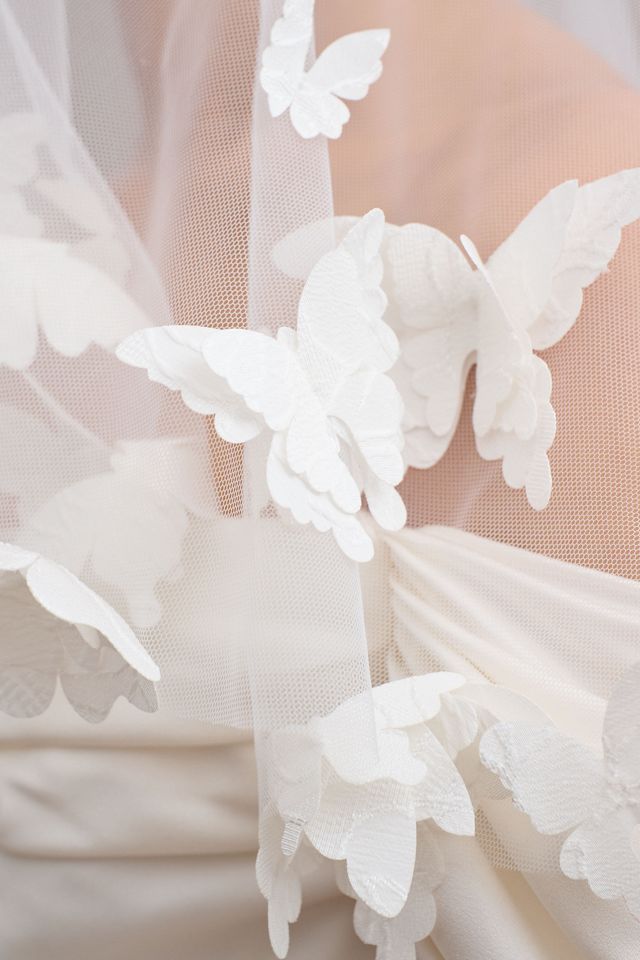 Society James Butterfly Veil #3