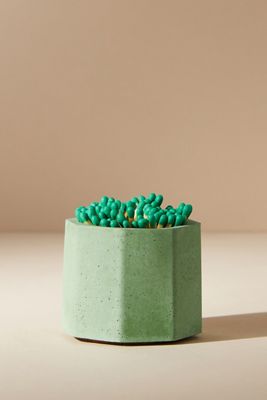Tenn Prairie Striker Match Holder