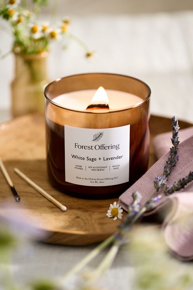 Forest Offering Candle, White Sage + Lavender | AnthroHome