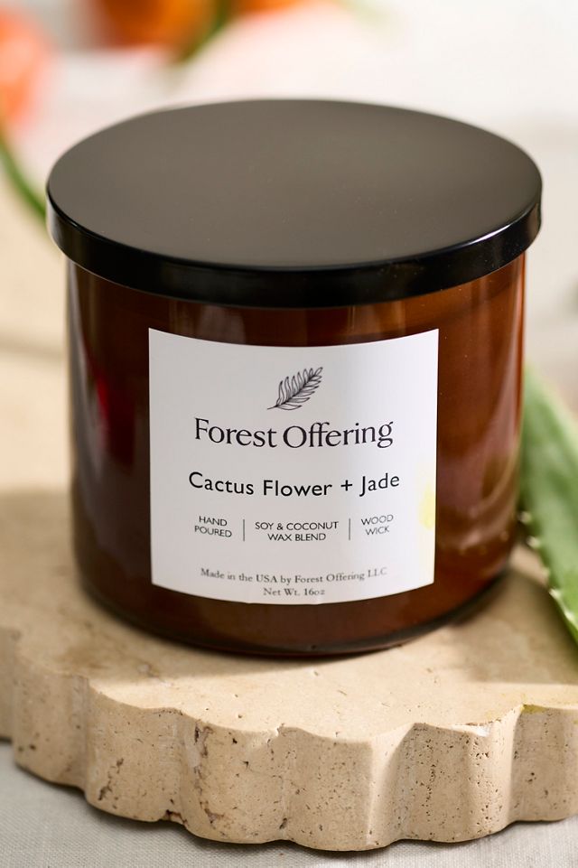 Forest Offering Candle, Cactus Flower + Jade #1