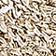 Gold Metallic