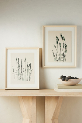 Anthropologie In The Reeds Wall Art