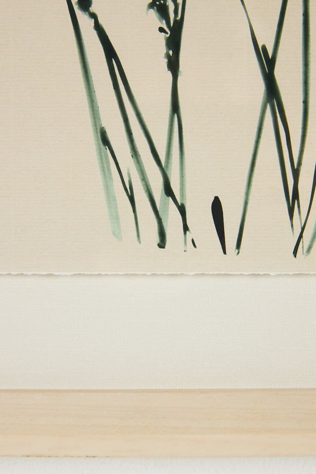 In The Reeds Wall Art #1