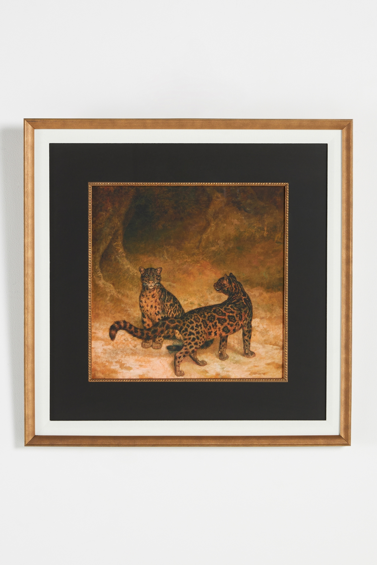 Clouded Leopards Wall Art