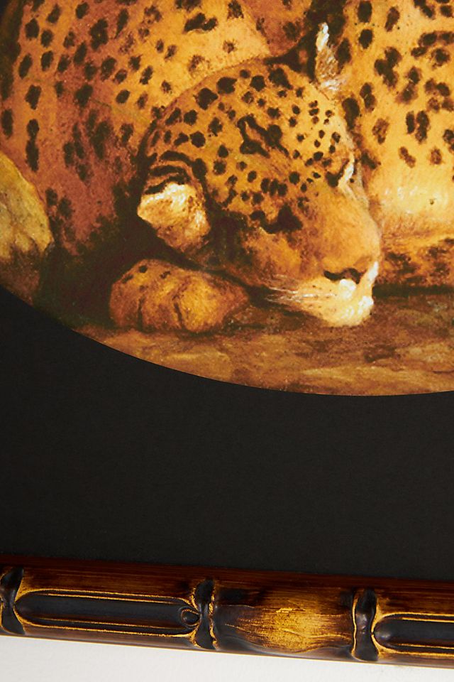 Sleeping Leopard Wall Art