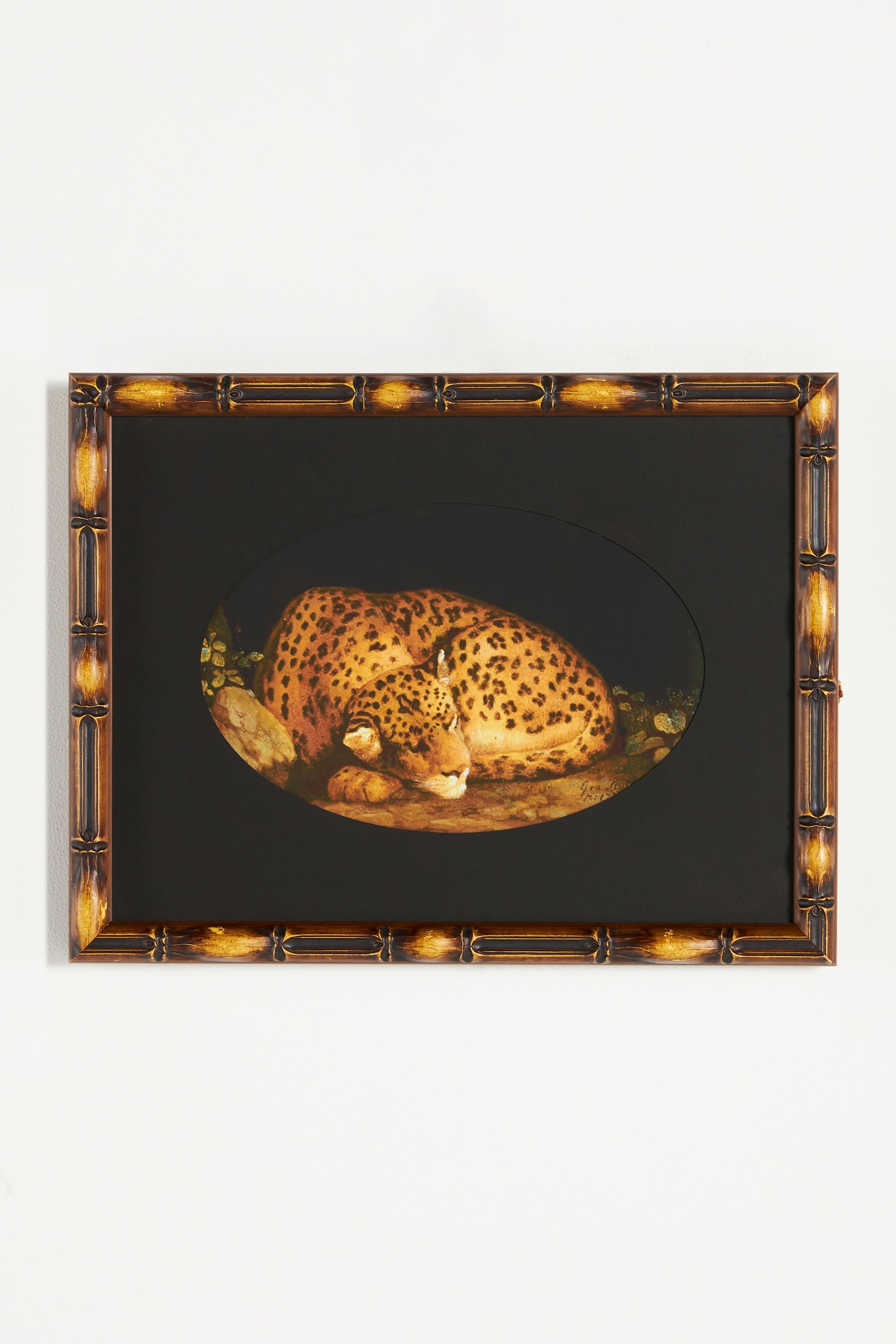 Sleeping Leopard Wall Art