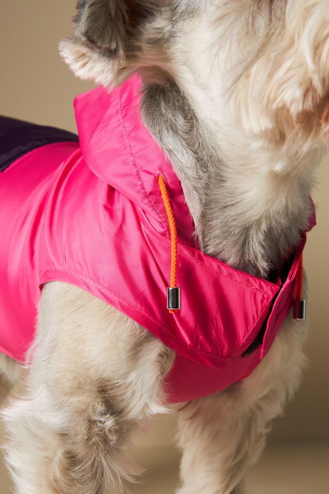 WARE of the DOG Anorak Hooded Raincoat #3