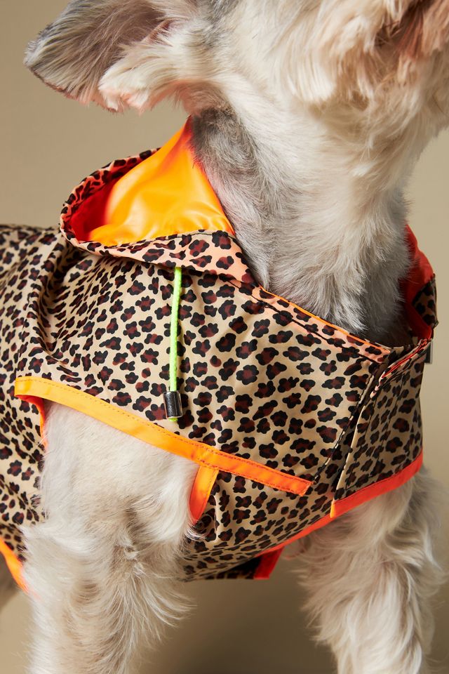 WARE of the DOG Leopard Print Hooded Raincoat #3