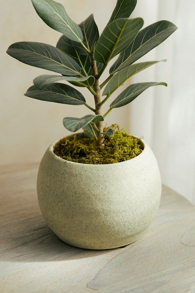 Ceramic Sphere Pot #3