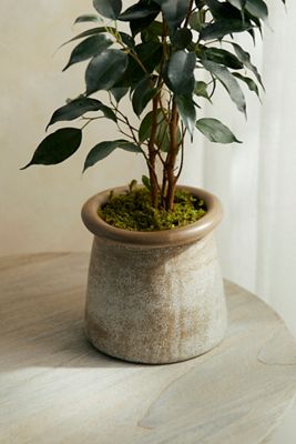 Rounded Top Ceramic Pot
