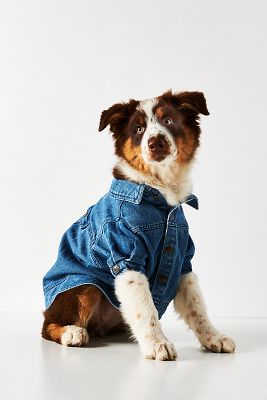 Denim Dog Jacket