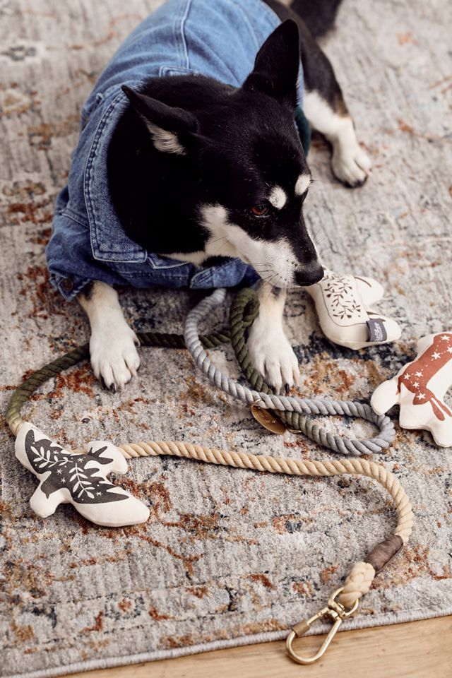 Denim Dog Jacket #4