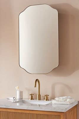 Sebastian Mirrored Medicine Cabinet