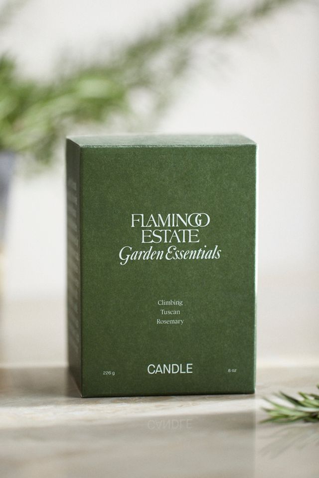Flamingo Estate Climbing Tuscan Rosemary Candle #1