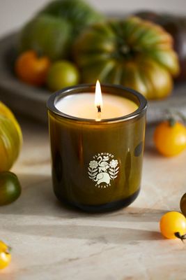 Flamingo Estate Roma Heirloom Tomato Candle
